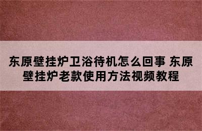 东原壁挂炉卫浴待机怎么回事 东原壁挂炉老款使用方法视频教程